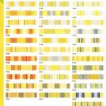 Farbfelder mit einer Reihe von warmen bis kühlen Farbtönen, inspiriert vom mediterranen Sonnenlicht, mit verschiedenen Farben, die von der Region inspiriert sind.